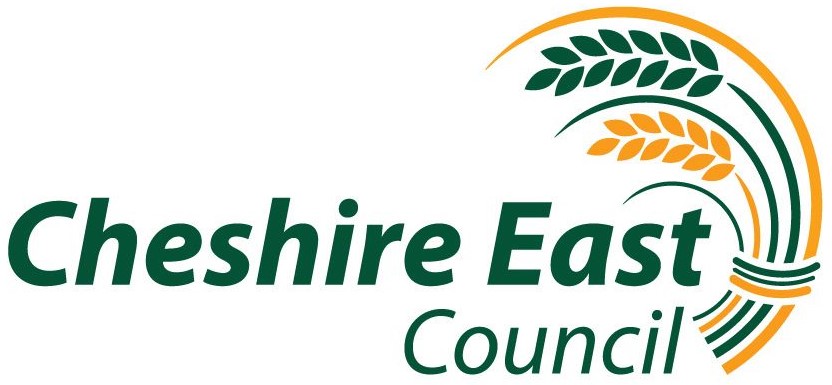 Council Logo 3